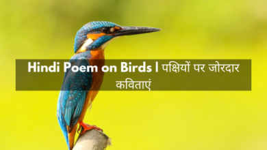 Hindi Poem on Birds