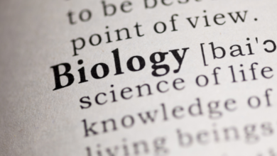 Biology Meaning in Hindi
