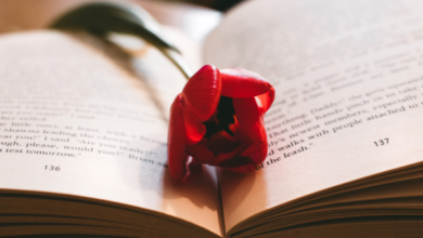 Composing Meaning in Hindi
