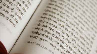 Dilution Meaning in Hindi