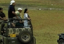 booking ranthambore safari ticket online